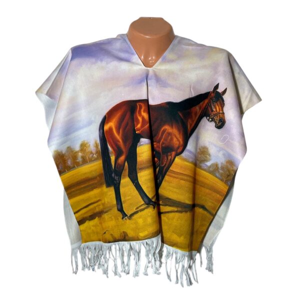 Poncho Sublimado - Image 4