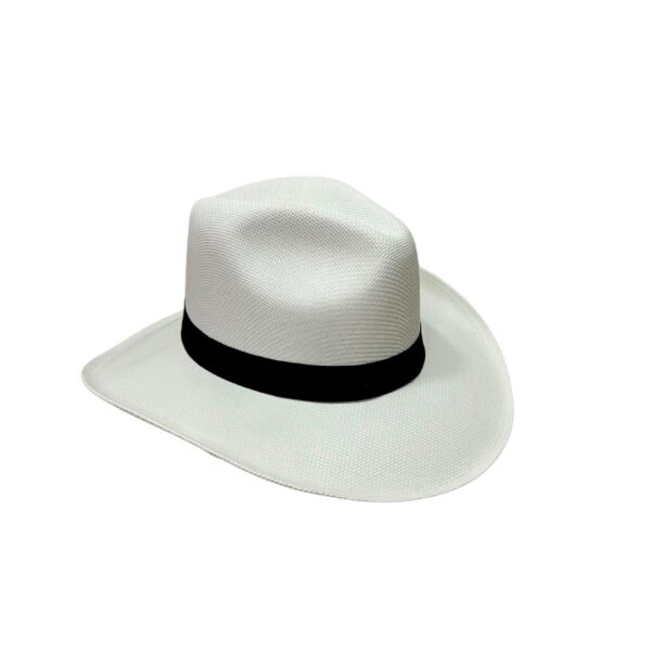 Sombrero Imitación Aguadeño - Image 2