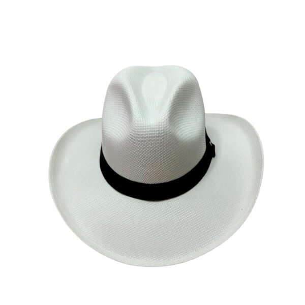 Sombrero Imitación Aguadeño - Image 3