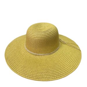 Pava Playera